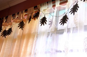 IMG_2198 IMG_2198