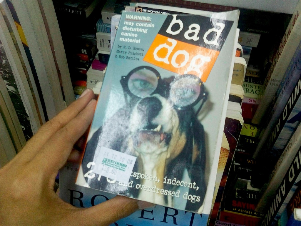 bad-dog innocent-looking cover
