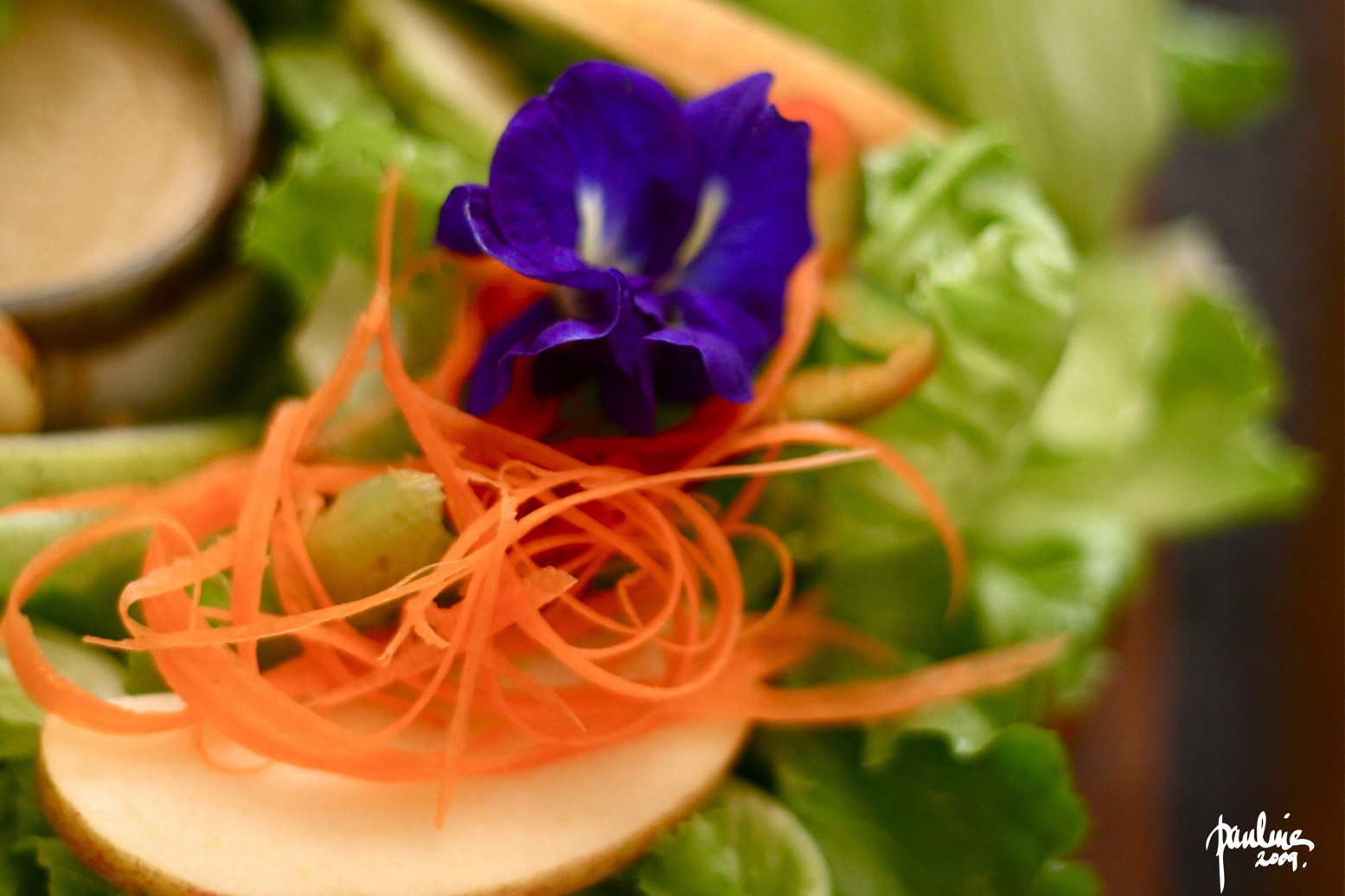 salad-small1
