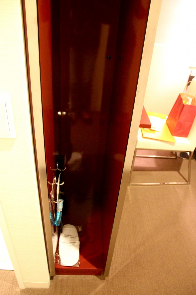 tiny cabinet with shoe cleaning stuff and a rechargeable flashlight