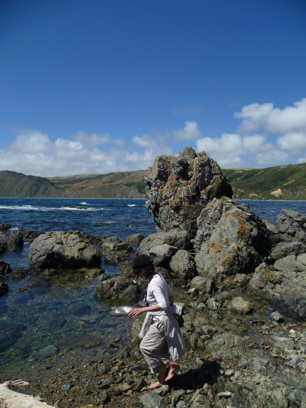 nz1