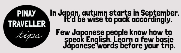 PT tips japan