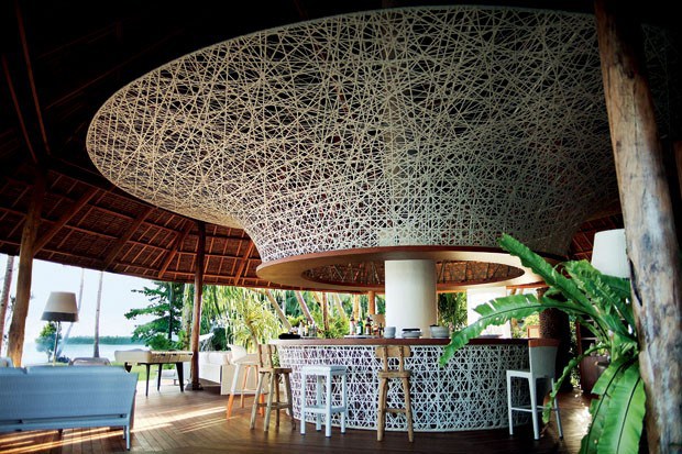 dedon3