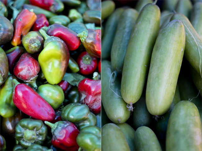 bellpepper