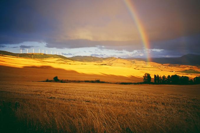 caminodesantiago_domenico