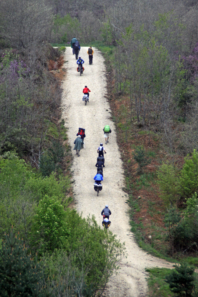 caminodesantiago_miguelcortes