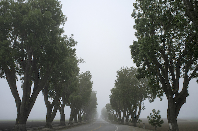 Photo by Dorothy Lin via unsplash.com