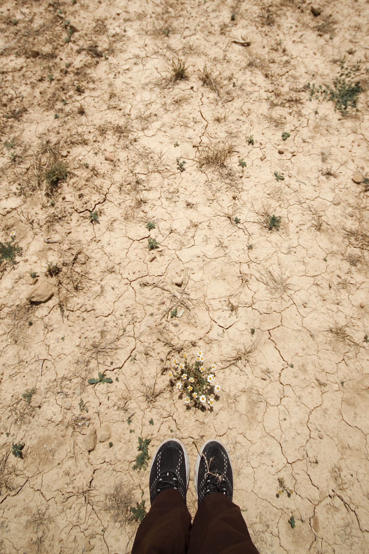 Footnote_Artajona1