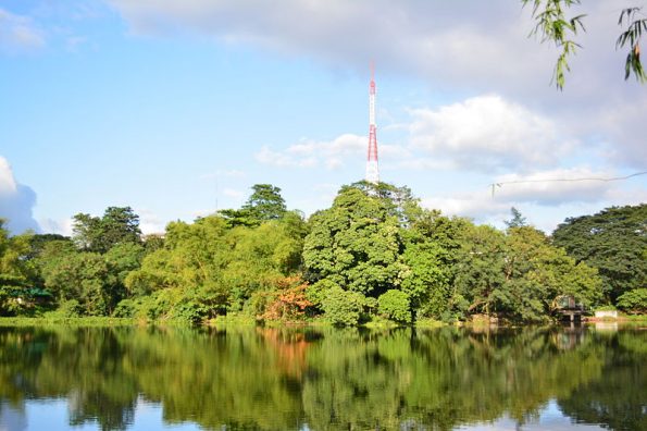 pinaytraveller_reasons_to_love_QC_ninoy_aquino_parks_and_wildlife_06